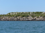 2015
